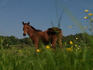 2007_08_05_01 0097