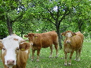 DSC00172